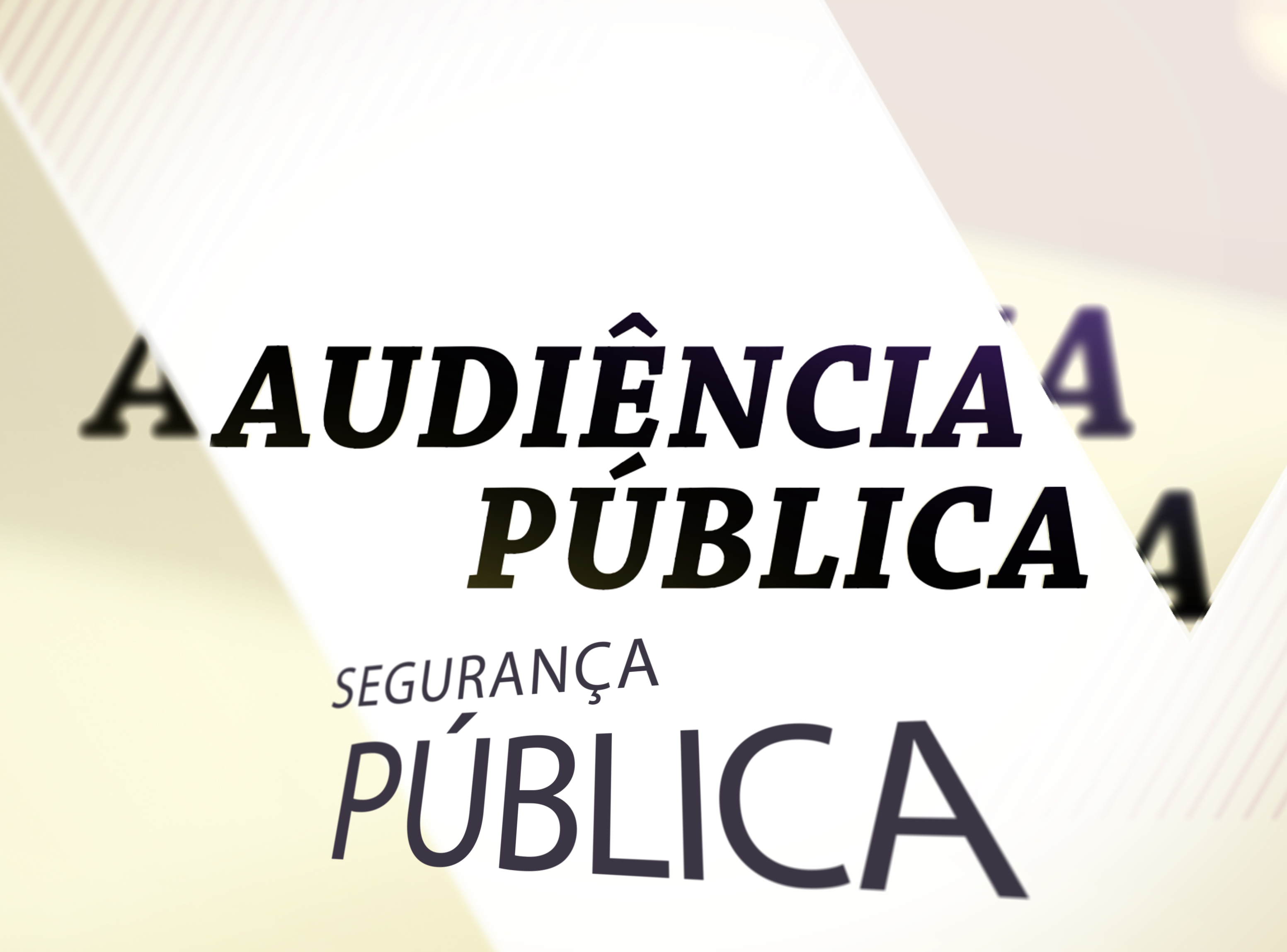 Câmara Municipal recebe audiência pública sobre segurança pública