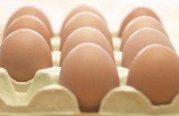 Os três maiores produtores de ovos do Brasil
